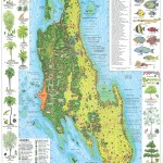 Mapa ostrova Zanzibar