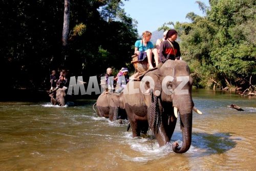 Um Phang - jízda na slonech