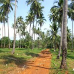 Vnitrozemí ostrova Koh Maak