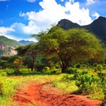 Nádherná krajina národního parku Tsavo