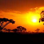 Nádherný africký západ slunce v Masai Mara
