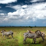 Národní park Nairobi