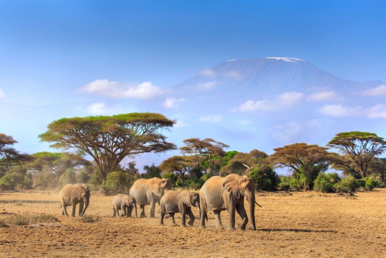 Národní park Amboseli