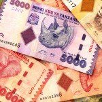 Tanzanská měna - šilink