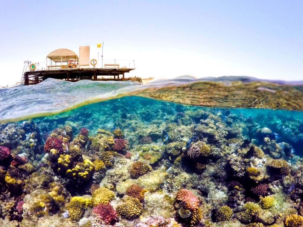 Korálový útes v letovisku Safaga