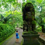 Monkey Forest - opičí les v Ubudu