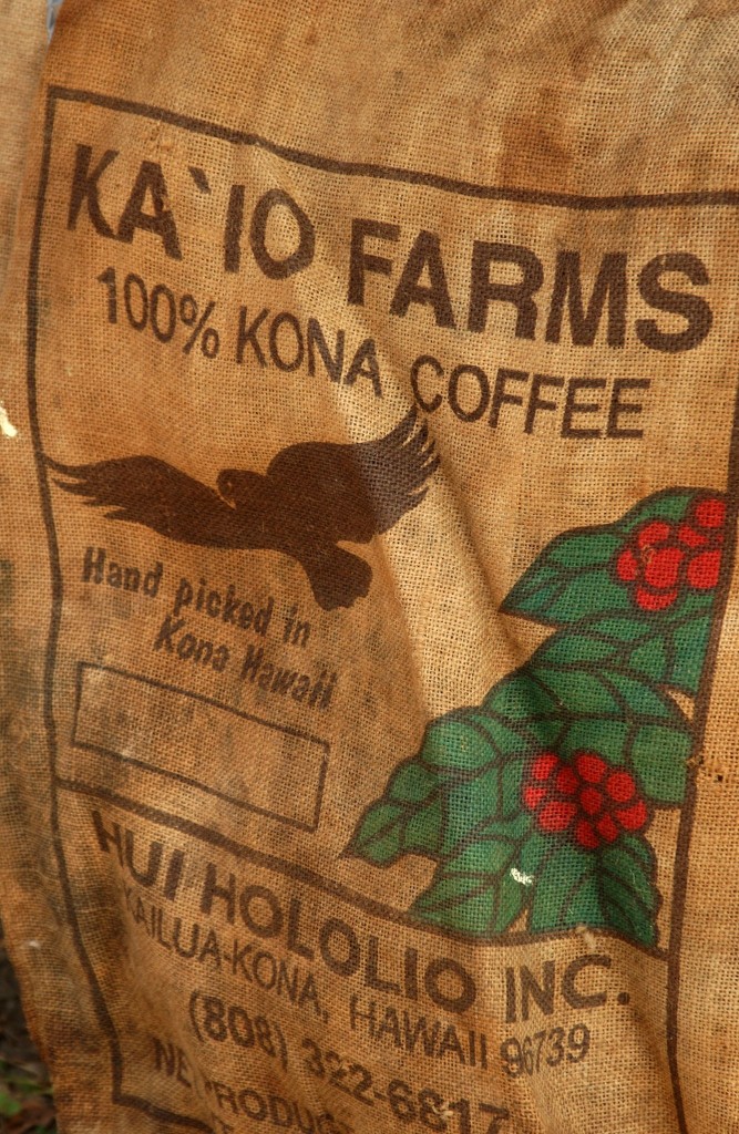 Známá Kona coffee - káva z Big islandu