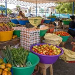 Exotické druhy ovoce na tržnici na Kapverdských ostrovech