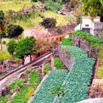 Farma na Sao Antao