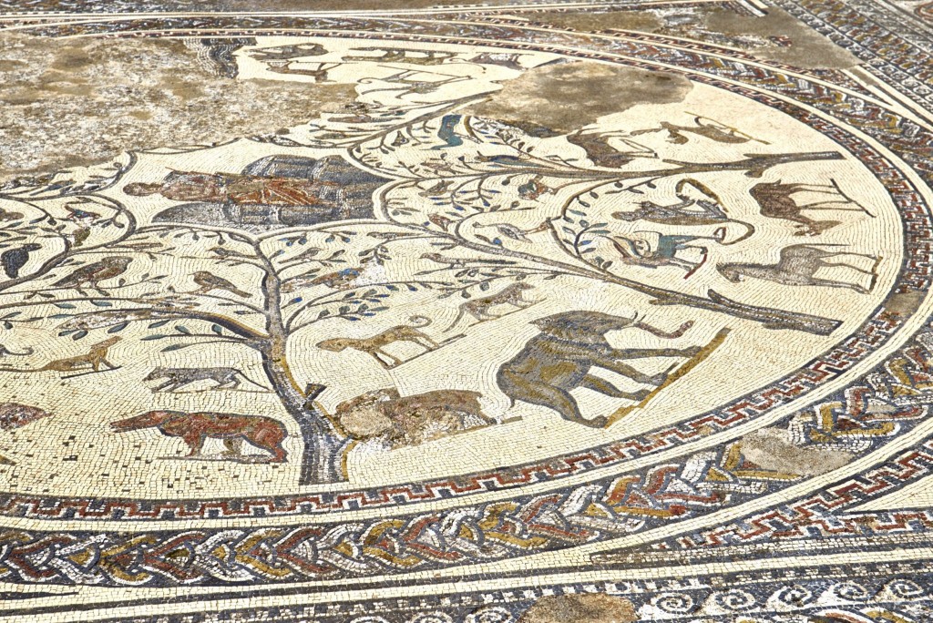 Mozaika ve Volubilis