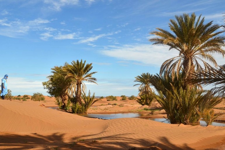 Oasis Du Sud Marocain