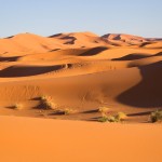 Poušť Západní Sahary