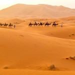 Výlet do pouště v oblasi Merzouga