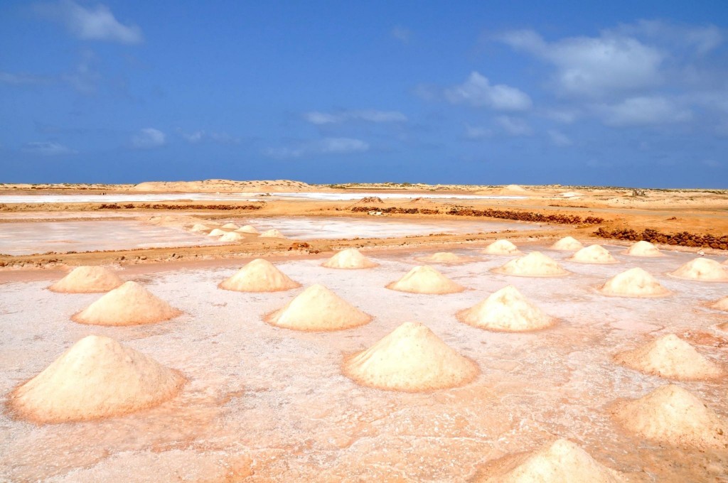 Vytěžená sůl na solných pláních ostrova Sal