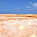 Vytěžená sůl na solných pláních ostrova Sal