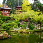 Japonské čajové zahrady v Golden Gate park