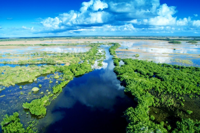 Národní park Everglades