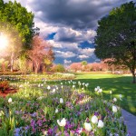 The Dallas Arboretum
