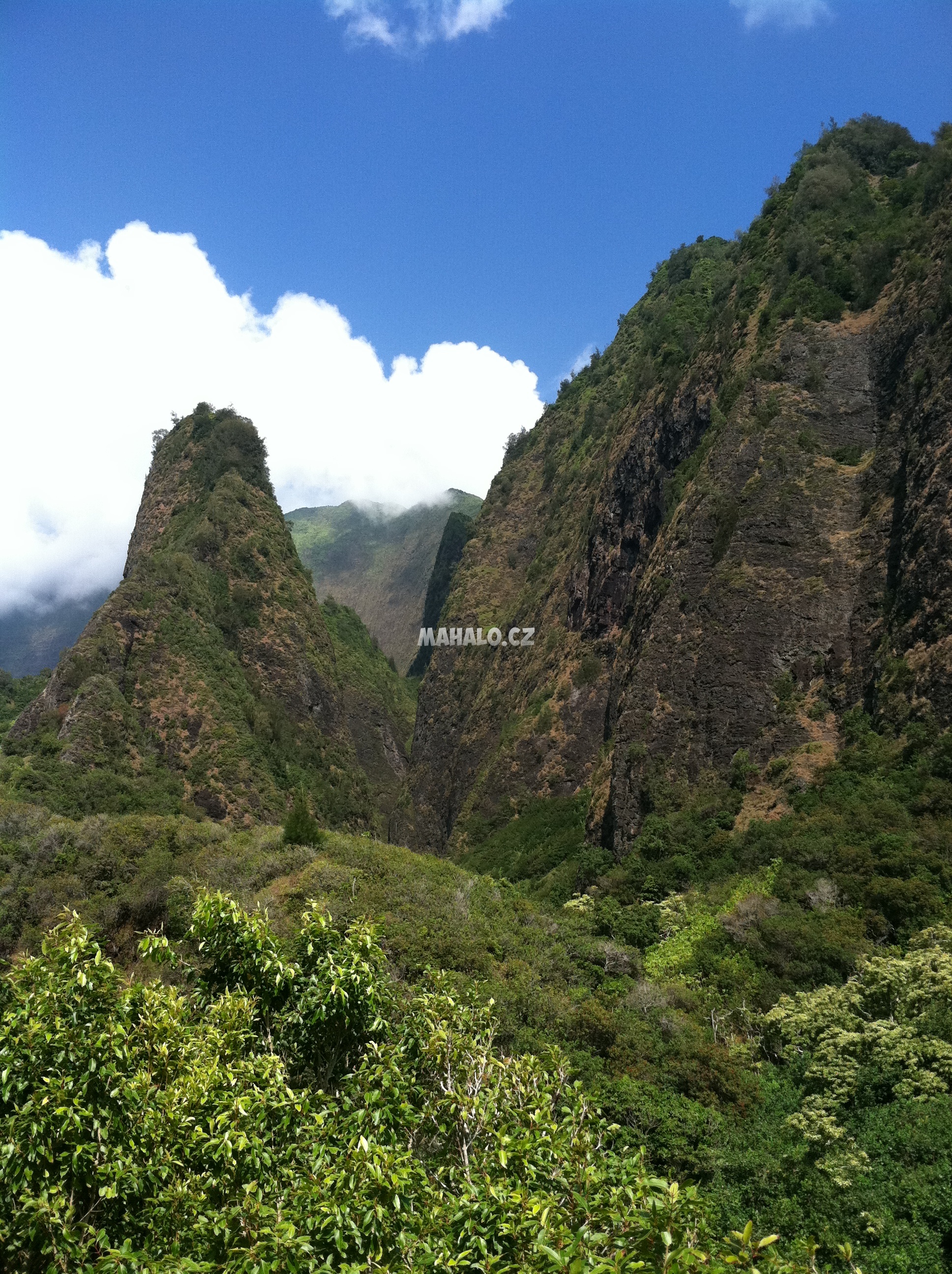Na Maui najdete divokou prirodu s tropickou vegetaci
