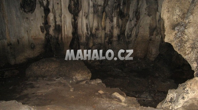 Dračí jeskyně (Dracotrypa)