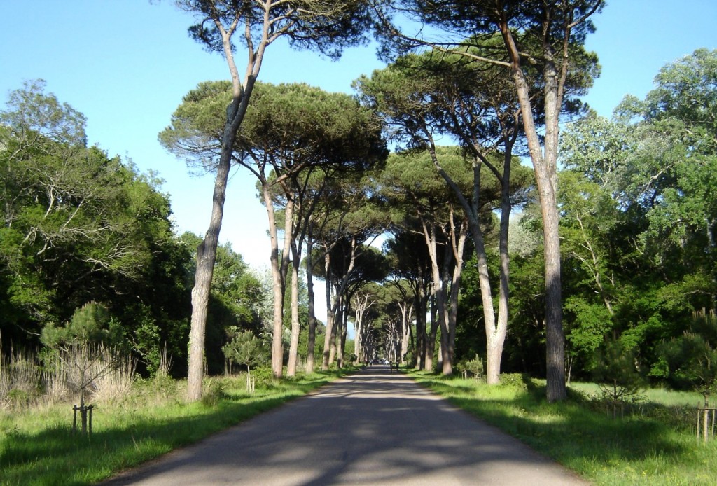 Přírodní park Parco Naturale di Migliarino