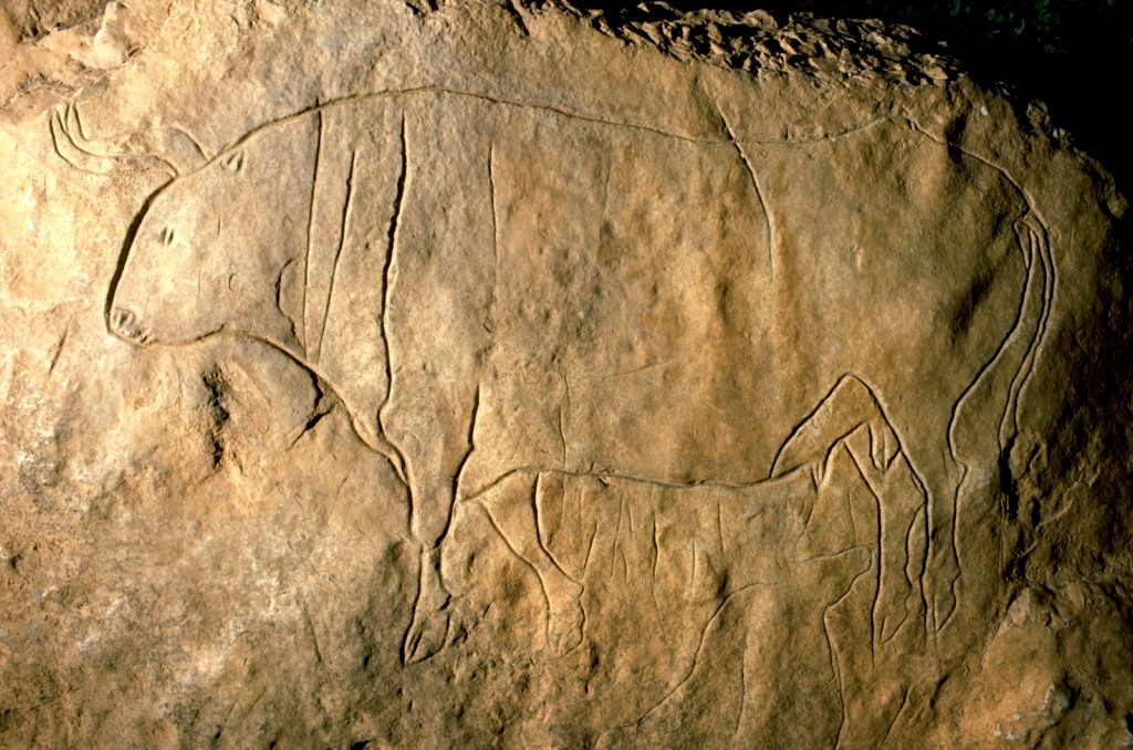 Rytina býka v Grotta del Romito