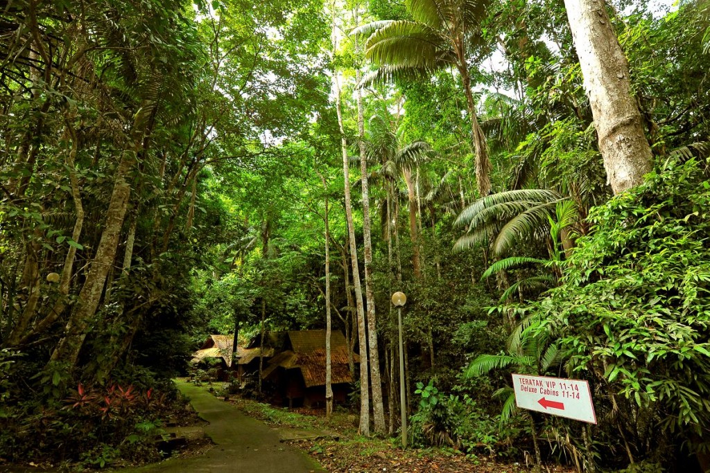 Ubytování v Taman Negeri Perlis