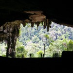 Národní park Niah Caves