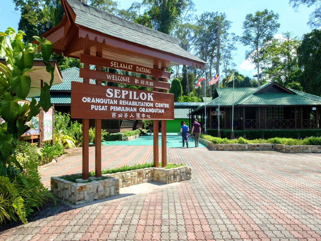Rehabilitační centrum Sepilok pro orangutany