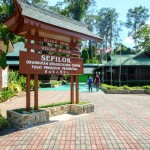 Rehabilitační centrum Sepilok pro orangutany