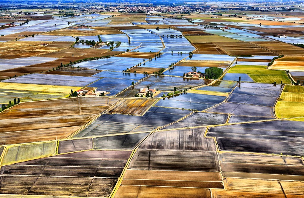 Rýžová pole v okolí Vercelli