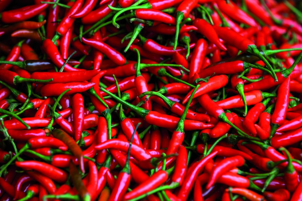 Pálivé papričky - specialita mexické kuchyně