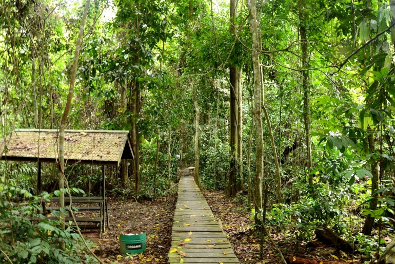 Národní park Kutai