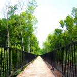 Přírodní park Taman Alam Kuala Selangor
