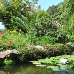 Botanická zahrada La Mortella