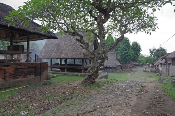 Puvodni balijska vesnice