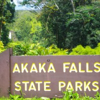 Akaka Falls 